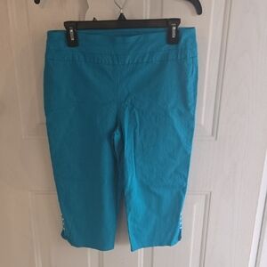 Attyre Teal Cropped Pants